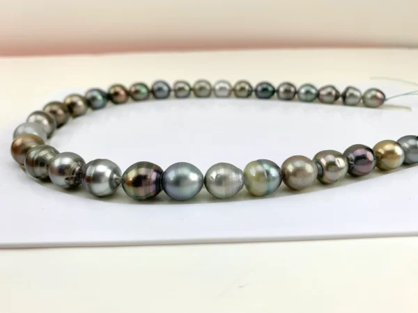 Tahitian Pearl necklace, Large Size Multi Color Cultured Tahitian Pearl necklace, 11-12.8 mm, Natural Color, Lot222345-1114-082522-3 - Image 10