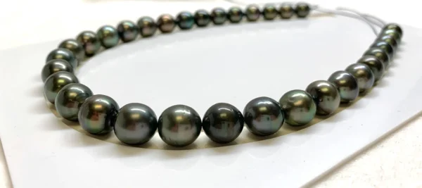 Tahitian Pearl Necklace,11.0-12.3 mm Oval Excellent Rich Dark Tone Tahitian Cultured pearl Necklace,wholesale pearls-Lot222345-1114-031225-2 - Image 4